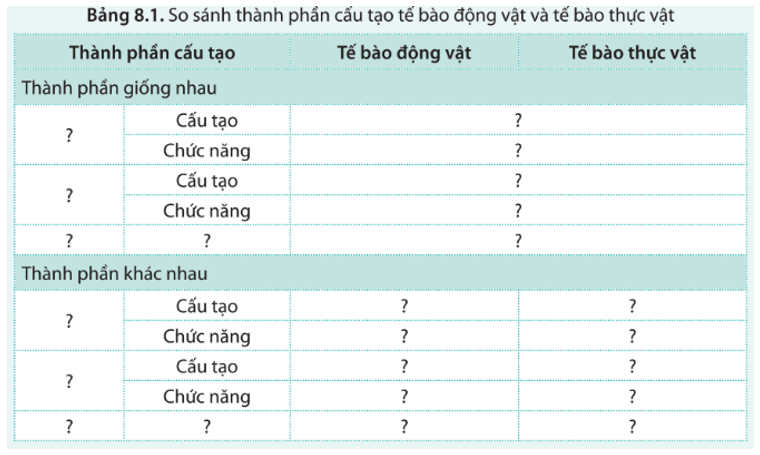 BÀI 8 - CẤU TRÚC TẾ BÀO NHÂN THỰC