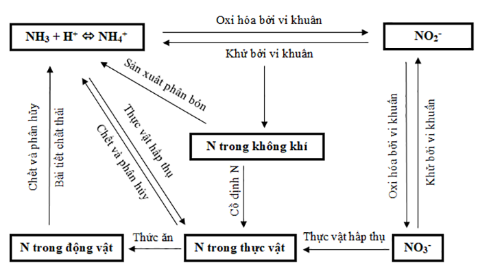 BÀI 25. HỆ SINH THÁI