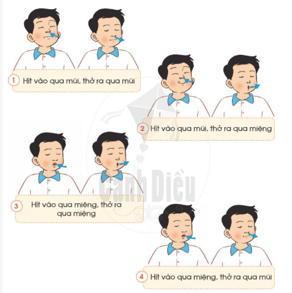 2. Tránh xa nơi có khói, bụiCâu 1: Trong các hình dưới đây, hình nào không khí có chứa nhiều khói bụi?Trả lời:Hình không khí có chứa nhiều khói bụi: hình 2, 3.Câu 2: Em cảm thấy như thế nào khi phải thở không khí có nhiều khói bụi?Trả lời:Em cảm thấy khó chịu và mệt mỏi khi phải thở không khí có nhiều khói bụiCâu 3: Tại sao chúng ta nên tránh xa nơi có khói bụi?Trả lời:Bởi vì: khói bụi chứa rất nhiều chất độc hại, khi chúng ta hô hấp có thể dễ hít vào gây ảnh hưởng đến sức khỏe.Câu 4: Trong trường hợp phải tiếp xúc với không khí có nhiều khói, bụi, chúng ta cần làm gì?Trả lời:Trong trường hợp phải tiếp xúc với không khí có nhiều khói, bụi, chúng ta cần: đeo khẩu trang để tránh được phần nào độc hại.3. Một số việc nên và không nên làm để để bảo vệ cơ quan hô hấp