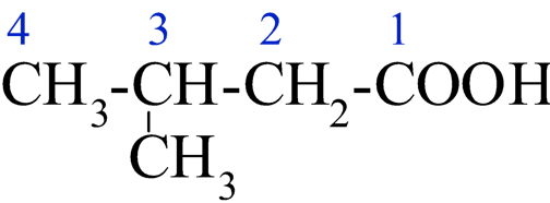 Tech12h