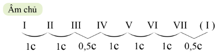 BÀI 5 - TIẾT 1