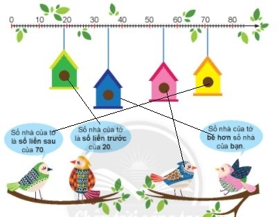 BÀI 43. ÔN TẬP CÁC SỐ TRONG PHẠM VI 100