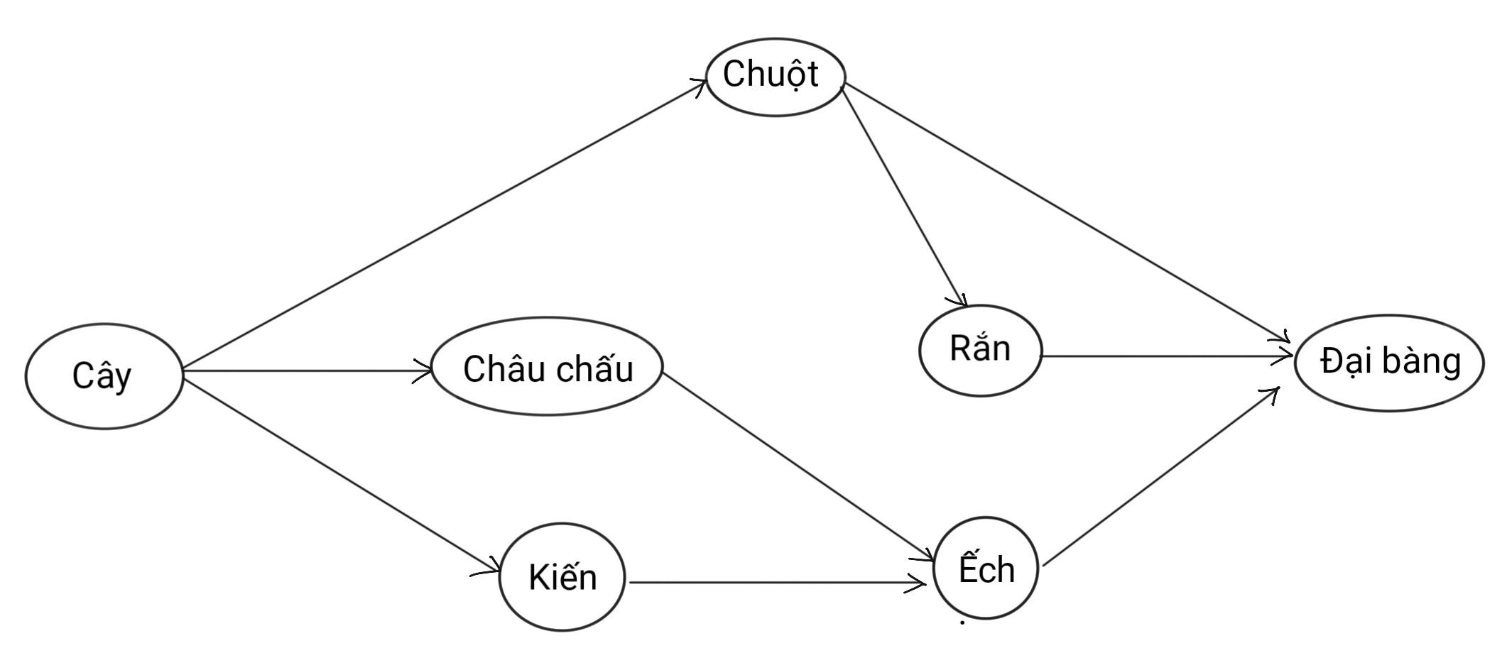 BÀI 25. HỆ SINH THÁI