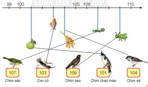 BÀI 13. CÁC SỐ TỪ 101 ĐẾN 110