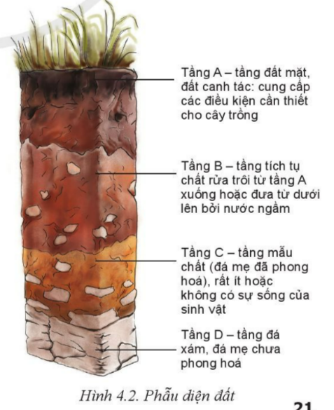 BÀI 4: THÀNH PHẦN VÀ TÍNH CHẤT CỦA ĐẤT TRỒNG