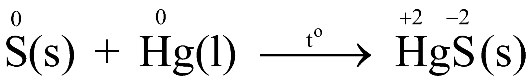 Tech12h