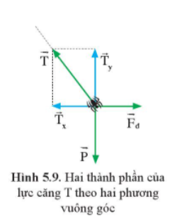 CHỦ ĐỀ 2 BÀI 5 TỔNG HỢP VÀ PHÂN TÍCH LỰC