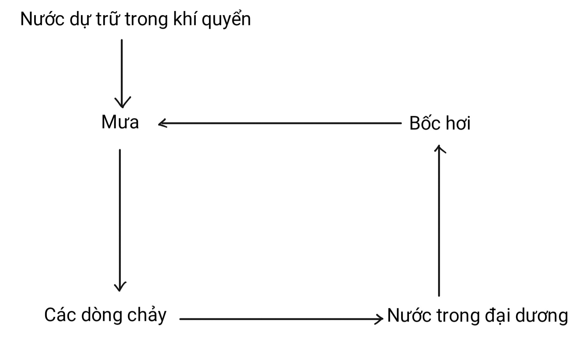 BÀI 25. HỆ SINH THÁI