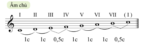 BÀI 5 - TIẾT 1