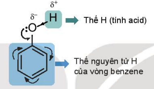 BÀI 21: PHENOL