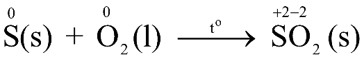Tech12h