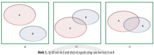 ÔN TẬP CHƯƠNG 7