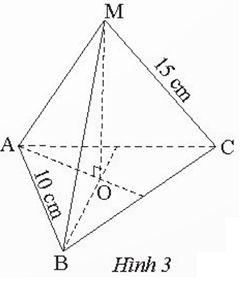 BÀI 1: HÌNH CHÓP TAM GIÁC ĐỀU - HÌNH CHÓP TỨ GIÁC ĐỀU