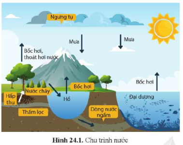 BÀI 24. CHU TRÌNH SINH - ĐỊA - HÓA VÀ SINH QUYỂN