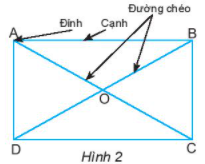 TIẾT 49 + 50 + 51 + 52 – BÀI 2: HÌNH CHỮ NHẬT. HÌNH THOI. HÌNH BÌNH HÀNH. HÌNH THANG CÂN