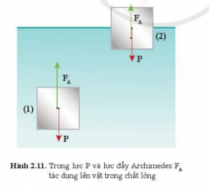 CHỦ ĐỀ 2 BÀI 2 MỘT SỐ LỰC THƯỜNG GẶP