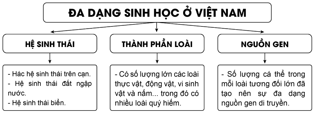 MỞ ĐẦUCâu hỏi: Việt Nam được đánh giá là quốc gia có tính đa dạng sinh học cao với tài nguyên sinh vật đa dạng và phong phú. Tuy nhiên trước thực trạng suy giảm đa dạng sinh học, vấn đề bảo vệ và sử dụng hiệu quả, bền vững tài nguyên sinh vật đang ngày càng trở nên cấp thiết. Vậy sự đa dạng của sinh vật ở nước ta được biểu hiện như thế nào? Vấn đề bảo tồn đa dạng sinh học cấp thiết ra sao? Đáp án chuẩn:- Biểu hiện đa dạng sinh học: đa dạng hệ sinh thái; đa dạng thành phần loài và đa dạng nguồn gen- Vấn đề bảo tồn đa dạng sinh họcI. SỰ ĐA DẠNG CỦA SINH VẬT Ở VIỆT NAM Câu hỏi: Đọc thông tin và quan sát hình 10.1, 10.2, hãy chứng minh sinh vật nước ta có sử đa dạng về hệ sinh thái, thành phần loài và nguồn gen.Đáp án chuẩn:- Đa dạng về hệ sinh thái: Nước ta có hệ sinh thái đa dạng và phong phú, tạo nên sự đa dạng loài và nguồn gen. - Đa dạng về thành phần loài: Nước ta có số lượng lớn các loài thực vật, động vật, vi sinh vật và nấm. - Đa dạng về nguồn gen: Sự phong phú về nguồn gen, trong đó có nhiều nguồn gen quý, đã tạo nên sự đa dạng và giàu có của sinh vật Việt Nam.II. VẤN ĐỀ BẢO TỒN ĐA DẠNG SINH HỌC Ở VIỆT NAMCâu hỏi: Đọc thông tin và quan sát hình 10.3, hãy chứng minh tính cấp thiết của vấn đề bảo tồn đa dạng sinh học ở Việt Nam.Đáp án chuẩn:- Vai trò của vấn đề bảo tồn đa dạng sinh học: + Các hệ sinh thái cung cấp lương thực, thực phẩm, dược liệu + Chức năng điều hòa khí hậu, điều tiết dòng chảy, hạn chế xói mòn đất,...- Đa dạng sinh học ở Việt Nam đang bị suy giảm: Do nhu cầu phát triển kinh tế - xã hội ngày càng tăng. - Một số biện pháp để bảo tồn đa dạng sinh học ở Việt Nam:+ Thực hiện tốt các quy định của pháp luật về bảo vệ đa dạng sinh học.+ Truyền thông về bảo vệ đa dạng sinh học, nâng cao ý thức về bảo vệ các hệ sinh thái tự nhiên.LUYỆN TẬP