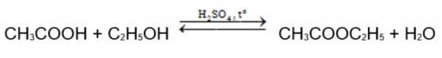 BÀI 19. CARBOXYLIC ACID