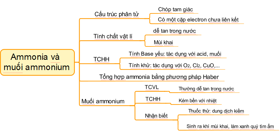 ÔN TẬP CHƯƠNG 2