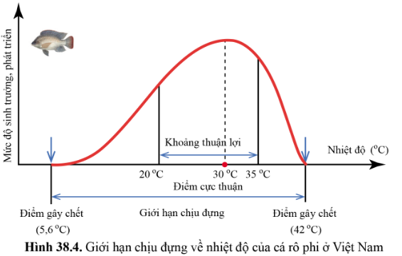 BÀI 38 - MÔI TRƯỜNG VÀ CÁC NHÂN TỐ SINH THÁI