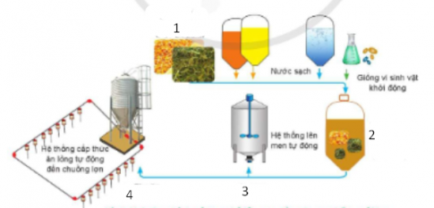 BÀI 11: ỨNG DỤNG CÔNG NGHỆ CAO TRONG CHẾ BIẾN VÀ BẢO QUẢN THỨC ĂN CHĂN NUÔI (2 TIẾT)KHỞI ĐỘNG- GV đặt câu hỏi và yêu cầu HS trả lời: Tại sao cần phải ứng dụng công nghệ cao trong bảo quản và chế biến thức ăn chăn nuôi? Hãy liệt kê một số công nghệ cao mà em biết đã được áp dụng.NỘI DUNG BÀI HỌC GỒMTìm hiểu ứng dụng công nghệ cao trong chế biến thức ăn chăn nuôiTìm hiểu ứng dụng công nghệ cao trong bảo quản thức ăn chăn nuôiTìm hiểu ý nghĩa, kết quả của cuộc cải cáchLuyện tậpVận dụngHOẠT ĐỘNG HÌNH THÀNH KIẾN THỨCHoạt động 1: Tìm hiểu ứng dụng công nghệ cao trong chế biến thức ăn chăn nuôiEm hãy nêu vai trò và hiệu quả của nhóm enzyme phân giải xơ và protein trong chế biến thức ăn chăn nuôi.Nội dung gợi ý:- Các loại enzyme tiêu hoá được sử dụng trong chế biến thức ăn chăn nuôi với các mục đích sau: + Tăng cường tiêu hoá, hấp thu chất dinh dưỡng và các thức ăn khó tiêu hoá.+ Tăng hiệu quả lên men trong ủ chua thức ăn thô, xanh cho gia súc nhai lại. - Một số nhóm enzyme sử dụng phổ biến: + Protease.+ Nhóm enzyme phân giải xơ.+ Ligninase.+ Phytase.Hoạt động 2: Tìm hiểu ứng dụng công nghệ cao trong bảo quản thức ăn chăn nuôiCải cách Minh Mạng tập trung chủ yếu vào lĩnh vực vào lĩnh vực hành chính vì: tình trạng phân quyền với sự tồn tại của Bắc Thành và Gia Định Thành là một trong những hạn chế lớn nhất của bộ máy nhà nước thời Gia Long, khiến cho bộ máy ở cấp địa phương thiếu thống nhất và sự tập trung quyền lực của hoàng đế bị hạn chế. Hoạt động 3: Tìm hiểu ý nghĩa, kết quả của cuộc cải cáchTìm hiểu về ứng dụng công nghệ cao trong bảo quản thức ăn chăn nuôi.Nội dung gợi ý:- Bảo quản lạnh được áp dụng để bảo quản các loại nguyên liệu thức ăn dễ bị hư hỏng bởi nhiệt độ như protein, enzyme, vitamin, các chất phụ gia.- Nhiệt độ thấp sẽ làm chậm quá trình tự phân huỷ của thức ăn, ức chế vi sinh vật gây hư hỏng thức ăn và gây bệnh. - Phòng hoặc kho lạnh bảo quản nguyên liệu được lắp hệ thống cảm biến nhiệt kết nối với máy vi tính để kiểm soát nhiệt độ trong phòng. Nhiệt độ bảo quản lạnh 2 – 4°C.HOẠT ĐỘNG LUYỆN TẬP, THỰC HÀNHCâu 1: Silo thường được sử dụng để:A. Chứa các loại nguyên liệu sản xuất thức ăn như cám, ngô, đậu tương... với số lượng lớnB. Ủ chua thức ăn cho gia súc nhai lạiC. Thay thế cho kho lạnh trong trường hợp mất điệnD. Cả A và B.Câu 2: Các loại enzyme tiêu hoá được sử dụng trong chế biến thức ăn chăn nuôi với mục đích nào?A. Tăng cường tiêu hoá, hấp thu chất dinh dưỡng và các thức ăn khó tiêu hoá như thức ăn thô, xanh có hàm lượng lignin cao.B. Giảm tác động xấu của lên men trong ủ chua thức ăn thô, xanh cho gia súc nhai lại.C. Giảm tính đột biến gen trong quá trình chế biến thức ăn chăn nuôiD. Tất cả các đáp án trên.Câu 3: Dưới đây là quy trình công nghệ lên men lỏng trong chăn nuôi lợn?Số 4 trong hình là gì?A. Nguyên liệu: Thức ăn tinh, thức ăn xanhB. Lên menC. Phối trộn: bổ sung nước và giống vi sinh vật khởi độngD. Cho ănCâu 4: Nhóm enzyme phân giải xơ được bổ sung trong thức ăn cho lợn, gia cầm nhằm:A. Loại bỏ chất xơ trong khẩu phần ăn.B. Khuếch đại lượng chất xơ trong thức ăn lên nhiều lần.C. Tăng hiệu quả sử dụng xơ trong khẩu phần.D. Cả B và C.Câu 5: Đâu không phải một enzyme trong nhóm enzyme phân giải xơ?A. CellulaseB. XylanaseC. TripacaseD. β-glucanaseNội dung gợi ý:Câu 1: DCâu 2: ACâu 3: DCâu 4: CCâu 5: CHOẠT ĐỘNG VẬN DỤNG