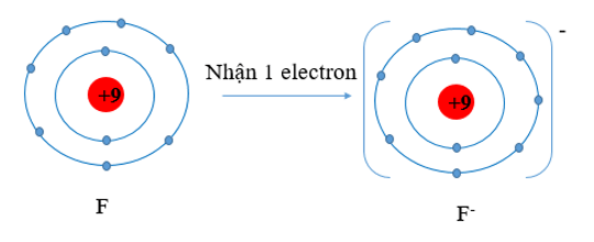 BÀI 9. QUY TẮC OCTET