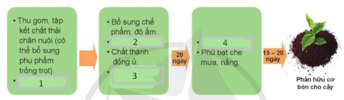 BÀI 23: MỘT SỐ BIỆN PHÁP XỬ LÍ CHẤT THẢI CHĂN NUÔI(3 TIẾT)KHỞI ĐỘNG- GV yêu cầu HS thảo luận theo cặp, quan sát hình ảnh 23.1và trả lời câu hỏi: Hãy cho biết vai trò của chế phẩm sinh học được thể hiện trong Hình 23.1.NỘI DUNG BÀI HỌC GỒMTìm hiểu về một số biện pháp phổ biến trong xử lí chất thải chăn nuôiTìm hiểu về ứng dụng công nghệ sinh học trong bảo vệ môi trường chăn nuôiThực hành tìm hiểu các biện pháp xử lí chất thải chăn nuôiLuyện tậpVận dụngHOẠT ĐỘNG HÌNH THÀNH KIẾN THỨCHoạt động 1: Tìm hiểu về một số biện pháp phổ biến trong xử lí chất thải chăn nuôiLợi ích của việc sử dụng công nghệ biogas ?Nội dung gợi ý:- Sử dụng công nghệ biogas là lợi dụng vi khuẩn kị khí trong bể biogas để phân hủy chất hữu cơ.- Các vi khuẩn kị khí sẽ phân hủy chất hữu cơ trong chất thải thành:+ Hỗn hợp khí sinh học (chủ yếu là CH4 chiếm khoảng 60 – 70% và các khí CO2, N2, H2, CO,...).+ Phần lắng cặn (gồm mùn, các chất dinh dưỡng dễ hòa tan, một số nguyên tố khoáng như Cu, Zn, Fe, Mn,...).+ Nước thải.Hoạt động 2: Tìm hiểu về ứng dụng công nghệ sinh học trong bảo vệ môi trường chăn nuôiTại sao việc sử dụng công nghệ lên men lại giúp giảm ô nhiễm môi trường trong chăn nuôi?Nội dung gợi ý:- Chất thải trong chăn nuôi được xử lí hiệu quả bằng công nghệ lên men hiếu khí (ủ phân bằng phương pháp ủ nóng) và công nghệ lên men kị khí (sử dụng hầm biogas).=> Giúp phân giải hiệu quả chất hữu cơ trong chất thải đồng thời tạo ra sản phẩm hữu ích là phân hữu cơ sinh học làm phân bón và khí gas làm nhiên liệu.Hoạt động 3. Thực hành tìm hiểu các biện pháp xử lí chất thải chăn nuôiHOẠT ĐỘNG LUYỆN TẬP, THỰC HÀNHCâu 1: Đây là cấu tạo của bể biogas:Số (1) là gì?A. Chất lơ lửngB. Phần sinh khíC. Phần vángD. Bể điều ápCâu 2: Đây là quy trình ủ phân hữu cơ bằng chế phẩm sinh học:Hãy điền vào ô số (3).A. Đảo trộn lần 2B. Phủ bạt che mưa, nắngC. Bổ sung men lacticD. Cả A và B.Câu 3: Sử dụng công nghệ biogas là:A. Lợi dụng vi khuẩn kị khí trong bể biogas để phân huỷ chất hữu cơ.B. Lợi dụng vi khuẩn kị khí trong bể biogas để biến đổi các chất hữu cơ thành vô cơ.C. Tận dụng vi khuẩn kị khí trong bể biogas để loại bỏ toàn bộ vi khuẩn và kí sinh trùng.D. Tất cả các đáp án trên.Câu 4: Đây là quy trình ủ phân hữu cơ vi sinh:Hãy điền vào ô số (1).A. Phân vô cơ thôB. Phân hữu cơ thôC. Phân vô cơ hoáD. Phân hữu cơ hoáCâu 5: Câu nào sau đây không đúng về lợi ích của công nghệ biogas?A. Hệ thống biogas tạo ra một dạng khí giống khí gas tự nhiên, có thể dùng làm xăng xe.B. Phần lắng cặn được sử dụng làm phân bón.C. Nước thải sau xử lí có thể sử dụng cho ao nuôi cá hoặc tưới cây.D. Sử dụng công nghệ biogas giúp bảo vệ môi trường hiệu quả.Nội dung gợi ý:Câu 1: DCâu 2: BCâu 3: ACâu 4: BCâu 5: DHOẠT ĐỘNG VẬN DỤNG