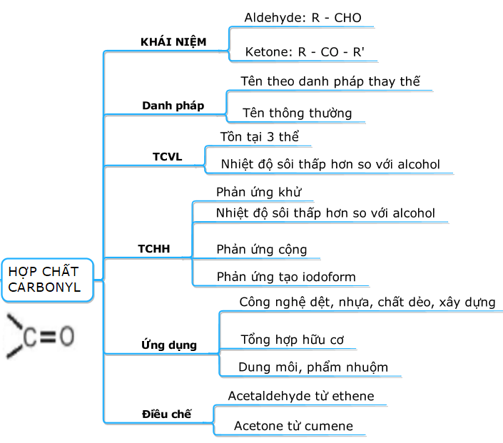 ÔN TẬP CHƯƠNG 6