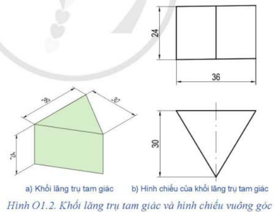 ÔN TẬP CHỦ ĐỀ 1