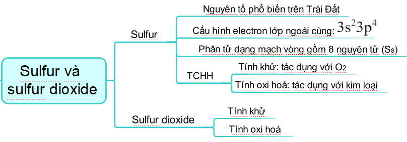 ÔN TẬP CHƯƠNG 2