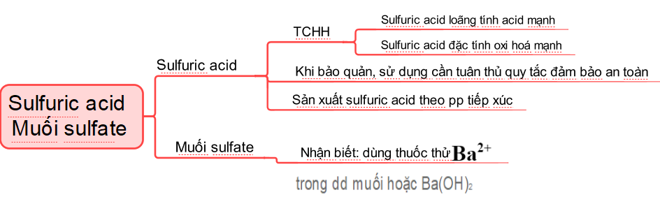 ÔN TẬP CHƯƠNG 2
