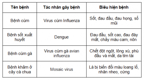 BÀI 24: VIRUS