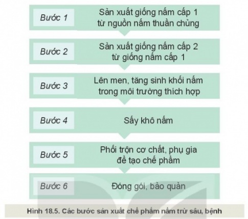 BÀI 18: ỨNG DỤNG CÔNG NGHỆ VI SINH TRONG PHÒNG TRỪ SÂU, BỆNH HẠI CÂY TRỒNG