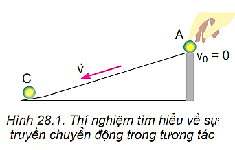 BÀI 28 ĐỘNG LƯỢNG