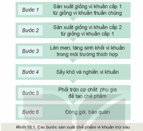 BÀI 18: ỨNG DỤNG CÔNG NGHỆ VI SINH TRONG PHÒNG TRỪ SÂU, BỆNH HẠI CÂY TRỒNG