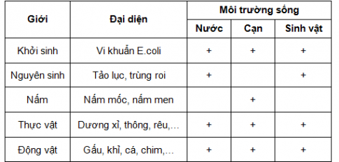 BÀI 22: PHÂN LOẠI THẾ GIỚI SỐNG