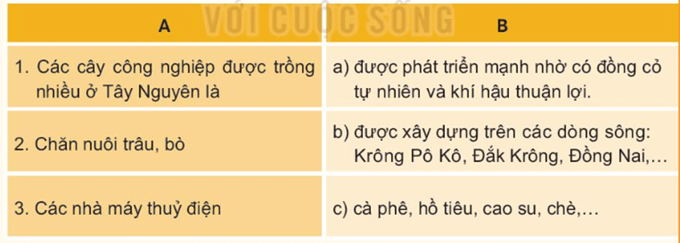 BÀI 21. DÂN CƯ VÀ HOẠT ĐỘNG SẢN XUẤT Ở VÙNG TÂY NGUYÊN 