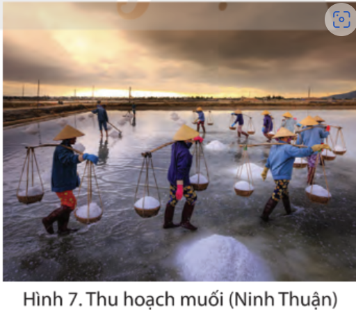 Khởi độngCâu hỏi: Hình 1 và hình 2 gợi cho em điều gì về hoạt động sản xuất ở vùng Duyên hải miền Trung?Giải nhanh:Vùng duyên hải miền Trung có đường bờ biển dài và vùng biển rộng lớn, thuận lợi phát triển kinh tế biển như nuôi trồng, đánh bắt thủy hải sản.Khám phá1. Dân cưCâu hỏi: Đọc thông tin, em hãy:- Nêu tên một số dân tộc ở vùng Duyên hải miền Trung- Cho biết người dân vùng Duyên hải miền Trung phân bố chủ yếu ở đâu?Giải nhanh:Một số dân tộc: Kinh, Chăm, Thái, Raglai,...Người dân vùng Duyên hải miền Trung phân bố chủ yếu ở đồng bằng và ven biển.2. Một số vật dụng chủ yếu trong đời sống người dânCâu hỏi: Quan sát hình 3, 4, 5, 6 và đọc thông tin, em hãy kể tên một số vật dụng chủ yếu có liên quan đến đời sống của người dân ở vùng Duyên hải miền TrungGiải nhanh:Thuyền thúng, lưới đánh cá, chiếc gùi, dao phát cỏ,...3. Một số hoạt động kinh tế biểna) Làm muốiCâu hỏi: Quan sát hình 7 và đọc thông tin, em hãy:- Cho biết một số điều kiện thuận lợi để sản xuất muối ở vùng Duyên hải miền Trung.- Kể tên một số nơi làm muối nổi tiếng ở vùng Duyên hải miền Trung.Giải nhanh:Điều kiện thuận lợi: có nhiều nắng, ít mưa, nước biển mặn và sạch...Một số nơi làm muối nổi tiếng: Sa Huỳnh (Quảng Ngãi), Cà Ná (Ninh Thuận),..b) Đánh bắt và nuôi trồng hải sảnCâu hỏi: Quan sát hình 8, hình 9 và đọc thông tin, em hãy kể tên một số hải sản nổi tiếng ở vùng Duyên hải miền Trung.Giải nhanh:Cá ngừ đại dương, cá thu, cá bớp, tôm hùm,..c) Du lịch biểnCâu hỏi: Quan sát hình 11, hình 12 và đọc thông tin, em hãy kể tên một số bãi biển ở vùng Duyên hải miền Trung.Giải nhanh:Sầm Sơn (Thanh Hóa), Cửa Lò (Nghệ An), Mỹ Khê (Đà Nẵng), Nha Trang (Khánh Hòa), Mũi Né (Bình Thuận),...d) Giao thông đường biểnCâu hỏi: Quan sát hình 12, hình 13 và đọc thông tin, em hãy kể tên một số cảng biển ở vùng Duyên hải miền TrungGiải nhanh:Một số cảng biển : Nghi Sơn (Thanh Hóa), Sơn Dương (Hà Tĩnh), Tiên Sa (Đà Nẵng), ...Luyện tậpCâu hỏi 1. Vẽ sơ đồ về các hoạt động kinh tế biển ở vùng Duyên hải miền Trung theo gợi ý dưới đây:Giải nhanh:Các hoạt động kinh tế biển ở vùng Duyên hải miền Trung:Làm muốiĐánh bắt và nuôi trồng hải sảnDu lịch biểnGiao thông đường biểnCâu hỏi 2. Cho bảng số liệu sauSản lượng khai thác cá biển ở một số vùng của Việt Nam, năm 2020(Đơn vị: nghìn tấn)Dựa vào bảng số liệu trên, em hãy:a) Xếp thứ tự các vùng theo sản lượng khai thác cá biển giảm dần.b) Tính và cho biết sản lượng cá biển của vùng Duyên hải miền Trung năm 2020 gấp bao nhiêu lần sản lượng cá biển của vùng Trung du và miền núi Bắc Bộ.Giải nhanh:a) Nam Bộ, Duyên hải miền Trung, Đồng bằng Bắc Bộ , Trung du và miền núi Bắc Bộb) Gấp 26 lần Vận dụng