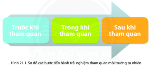 BÀI 21: THỰC HÀNH TÌM HIỂU MÔI TRƯỜNG TỰ NHIÊN QUA TÀI LIỆU VÀ THAM QUAN ĐỊA PHƯƠNG