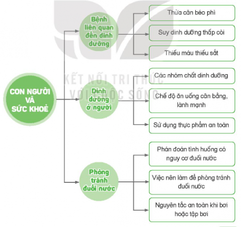 BÀI 28: ÔN TẬP CHỦ ĐỀ CON NGƯỜI VÀ SỨC KHỎE