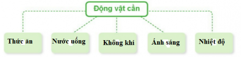 ÔN TẬP CHỦ ĐỀ THỰC VẬT VÀ ĐỘNG VẬT