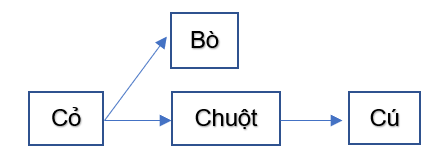 BÀI 23. VAI TRÒ CỦA THỰC VẬT TRONG CHUỖI THỨC ĂN