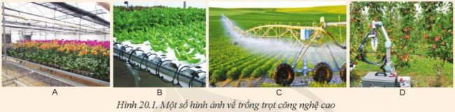 BÀI 20: GIỚI THIỆU VỀ TRỒNG TRỌT CÔNG NGHỆ CAO