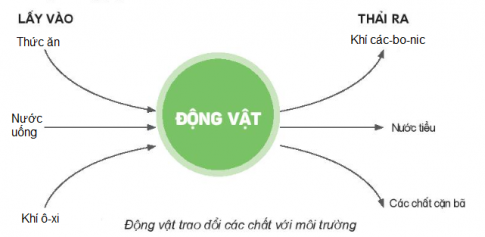 BÀI 16: ĐỘNG VẬT CẦN GÌ ĐỂ SỐNG