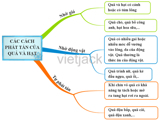 BÀI 6. SƠ ĐỒ TƯ DUY 