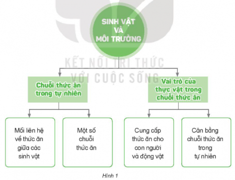 BÀI 31: ÔN TẬP CHỦ ĐỀ SINH VẬT VÀ MÔI TRƯỜNG