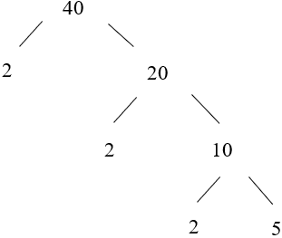 CHƯƠNG 1: SỐ TỰ NHIÊNBÀI 11: PHÂN TÍCH MỘT SỐ RA THỪA SỐ NGUYÊN TỐ