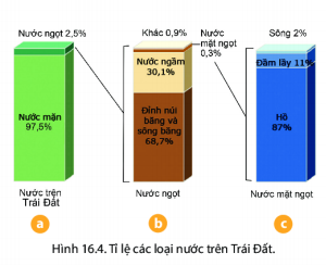 BÀI 16: THỦY QUYỂN.VÒNG TUẦN HOÀN NƯỚC, NƯỚC NGẦM, BĂNG HÀ