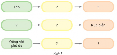 BÀI 29: CHUỖI THỨC ĂN TRONG TỰ NHIÊN