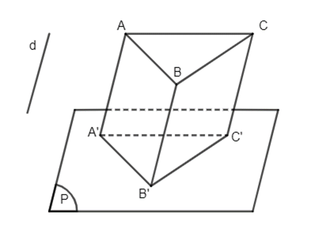 BÀI 14. PHÉP CHIẾU SONG SONG